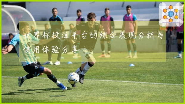 世界杯投注平台的综合表现分析与使用体验分享