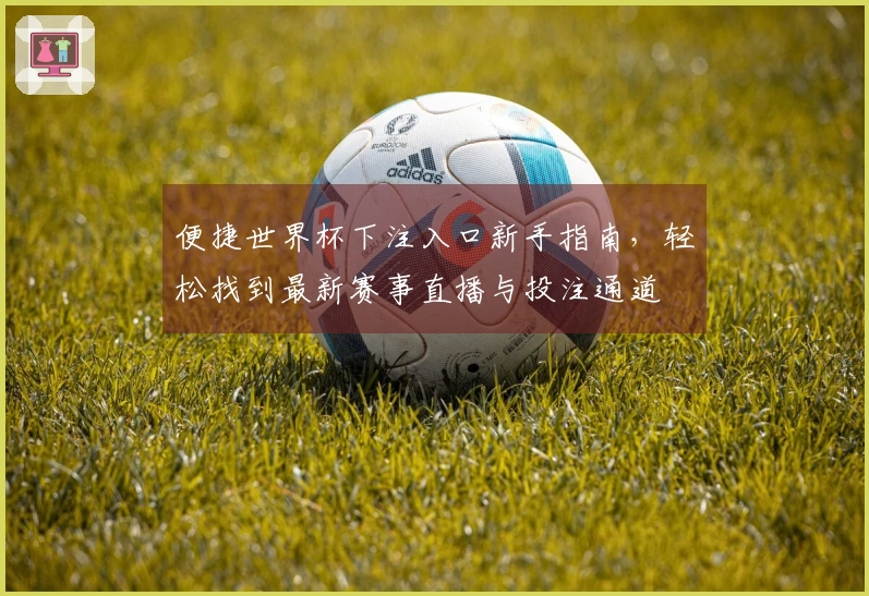 便捷世界杯下注入口新手指南，轻松找到最新赛事直播与投注通道