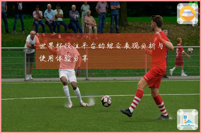 世界杯投注平台的综合表现分析与使用体验分享